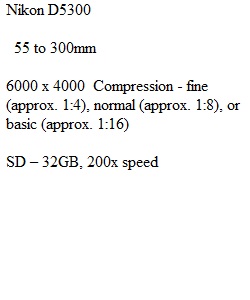 Camera Worksheet